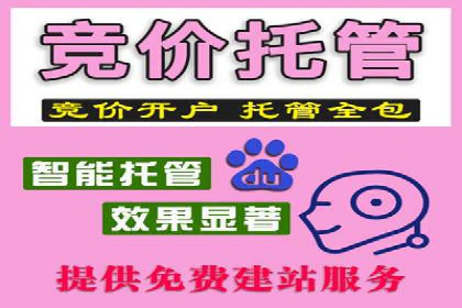 某品牌通过SEM竞价代运营公司实现品牌飞跃的历程